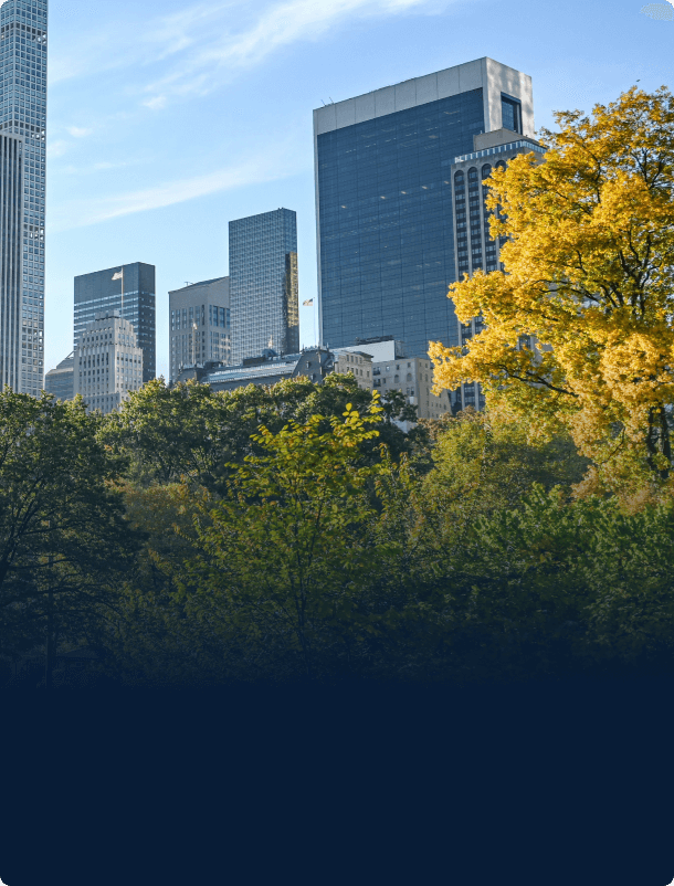 buildings and trees